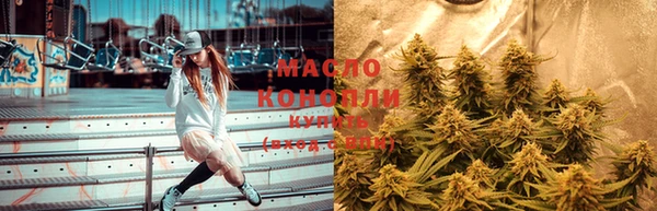 соль ск Верхний Тагил